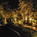 Landscape & Garden Lighting