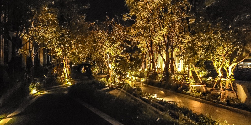 Landscape & Garden Lighting in Deltona, Florida