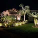 Garden Lights