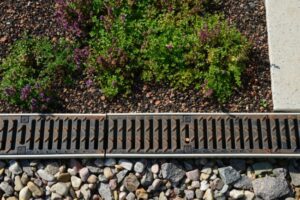 What Poor Drainage Can Do to Your Yard Over Time