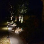 Pathway & Driveway Lighting