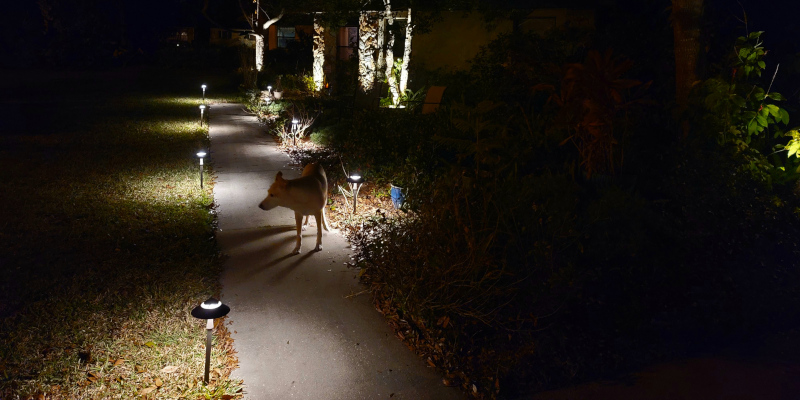 Pathway & Driveway Lighting in Deltona, Florida